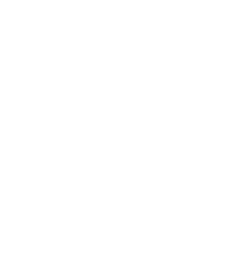 Dunlop logo